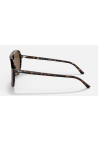 Ray-Ban Bill Havana Polar Brown