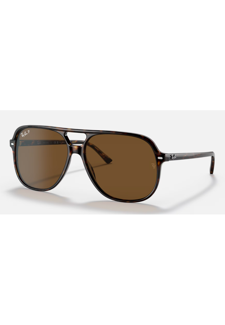 Ray-Ban Bill Havana Polar Brown