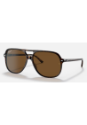 Ray-Ban Bill Havana Polar Brown