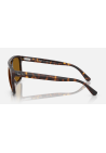 Ray-Ban 0Rb2213 Havana_Brown