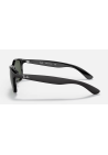 Ray-Ban Andy Matte Black On Black Dark Green