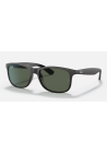 Ray-Ban Andy Matte Black On Black Dark Green