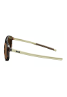 Julbo Ward Marron Gris Pc3
