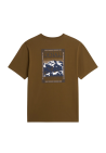 The North Face M North Faces Regular Ss Tee Caraway Seed