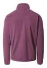 the north face 100 glacier 1/4 zip pikes purple
