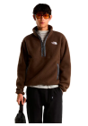 The North Face M Tnf Fleeski 1/4 Zip Po Dark Chestnut