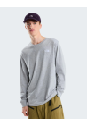 The North Face M Evolution Simple Dome Regular Ls Tee Tnf Pale Grey Heather