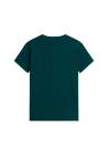 The North Face M Evolution Simple Dome Regular Ss Tee Pacific Teal