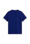 The North Face M Evolution Simple Dome Regular Ss Tee Bold Blue