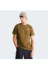 The North Face M Evolution Simple Dome Regular Ss Tee Caraway Seed