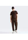 The North Face M Evolution Simple Dome Regular Ss Tee Dark Chestnut
