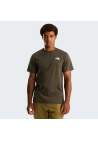The North Face M North Faces Regular Ss Tee New Taupe Green