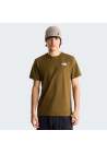 The North Face M Evolution Box Nse Regular Ss Tee Caraway Seed