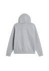 The North Face M Evolution Simple Dome Regular Hoodie Tnf Pale Grey Heather