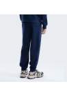 The North Face M Evolution Simple Dome Regular Jogger Summit Navy