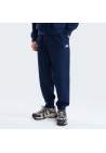 The North Face M Evolution Simple Dome Regular Jogger Summit Navy