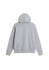 The North Face M Evolution Simple Dome Regular Full Zip Hoodie Tnf Pale Grey Heather