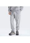 The North Face M Evolution Simple Dome Regular Jogger Tnf Pale Grey Heather
