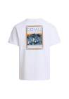 The North Face M North Faces Regular Ss Tee Tnf White