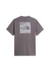 The North Face M Box Nse Celebration Regular Ss Tee Smoked Pearl